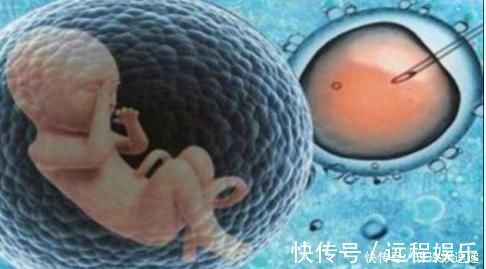 宝宝|孕早期,胎儿3个月都在忙些什么?看完心都被他萌酥了