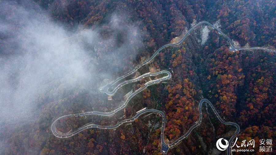  山路|航拍最美山路 俯瞰大别山层林尽染