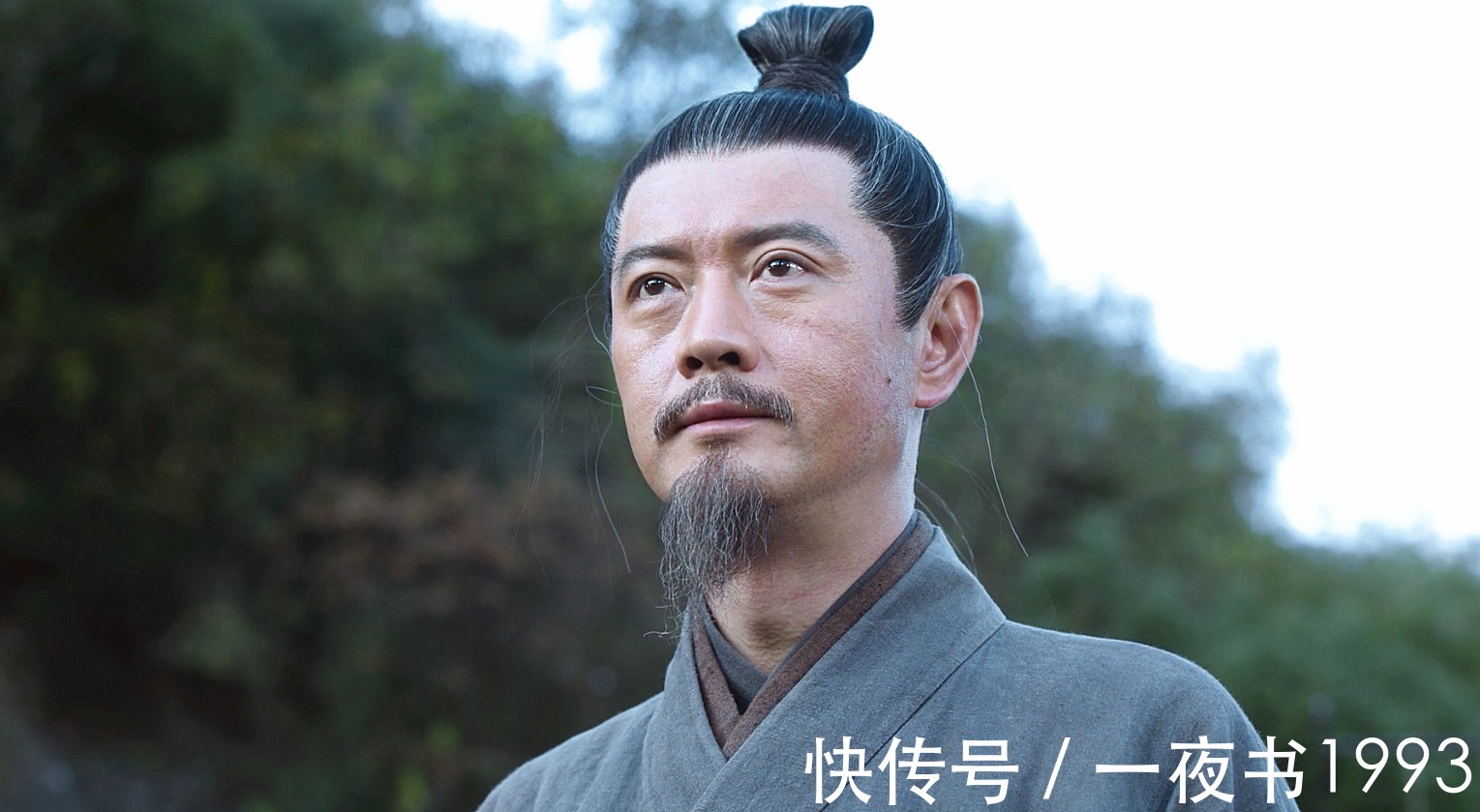 陈芝豹&《雪中悍刀行》陈芝豹被韩貂寺吊打?未入过天象境,直达儒圣境界