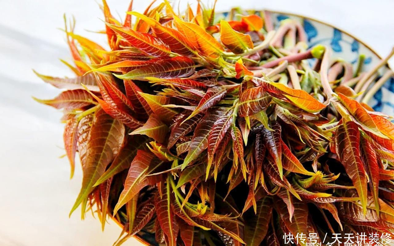 蕨菜|“晚春”阶段，6种野菜碰到别手软，错过等明年