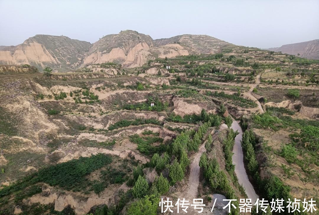 湿地|探索黄河岸边不知名土山，坡上开满奇怪的花朵，路边横着清代墓碑