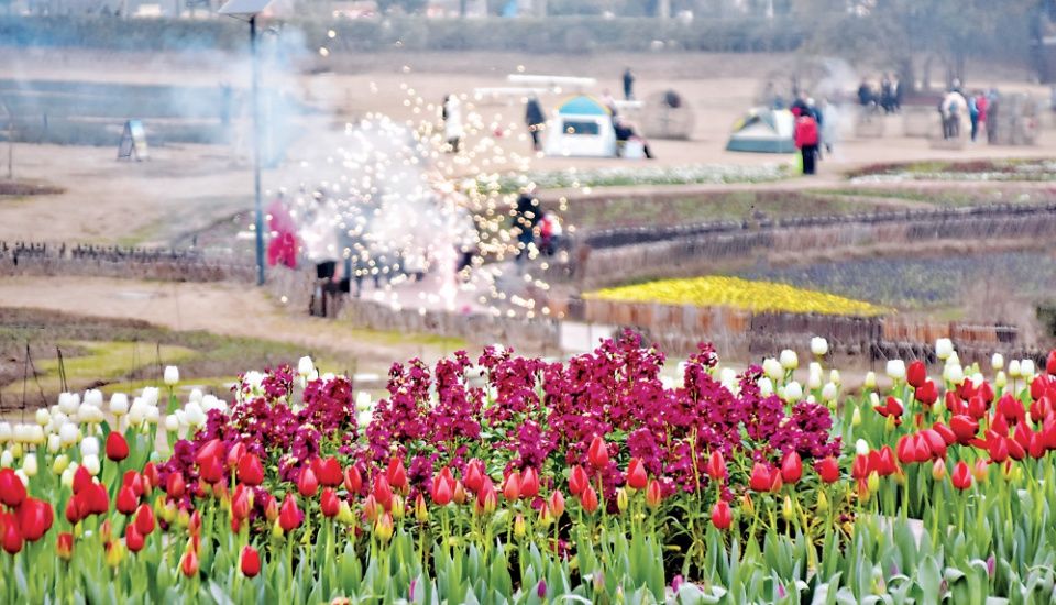 春节|年味浓浓火遍全国，市民游客乐享“在武汉过大年”