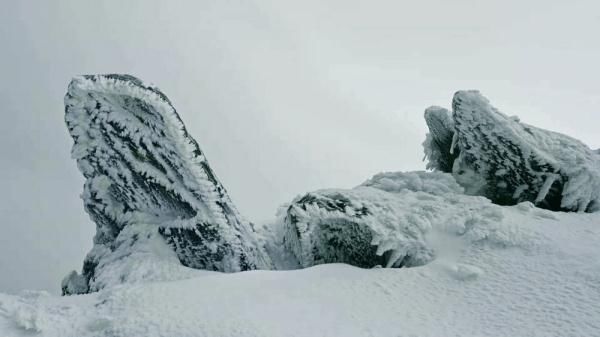 雪景|就在广元过年！这些春节旅游新玩法，给你安排得明明白白！