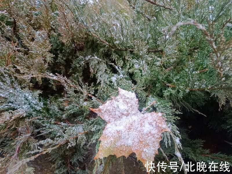 空气能热泵|北京今冬第一场雪来了！怀柔琉璃庙雪花飘洒而下