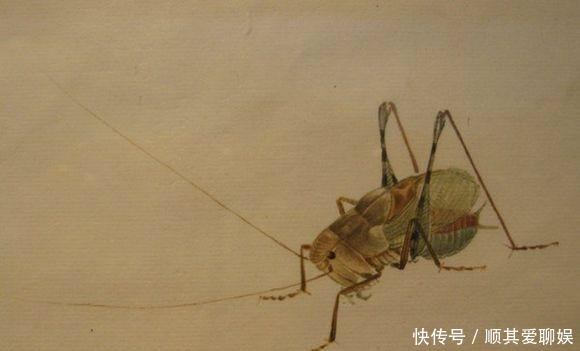 把齐白石的草虫放大,这不是照片,这是白石老人的工笔草虫!