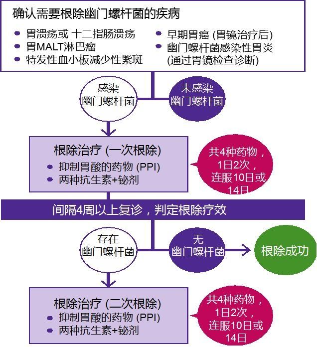 hp|感染幽门螺杆菌会不会得胃癌？关于幽门螺杆菌，这是一篇最全的科普！