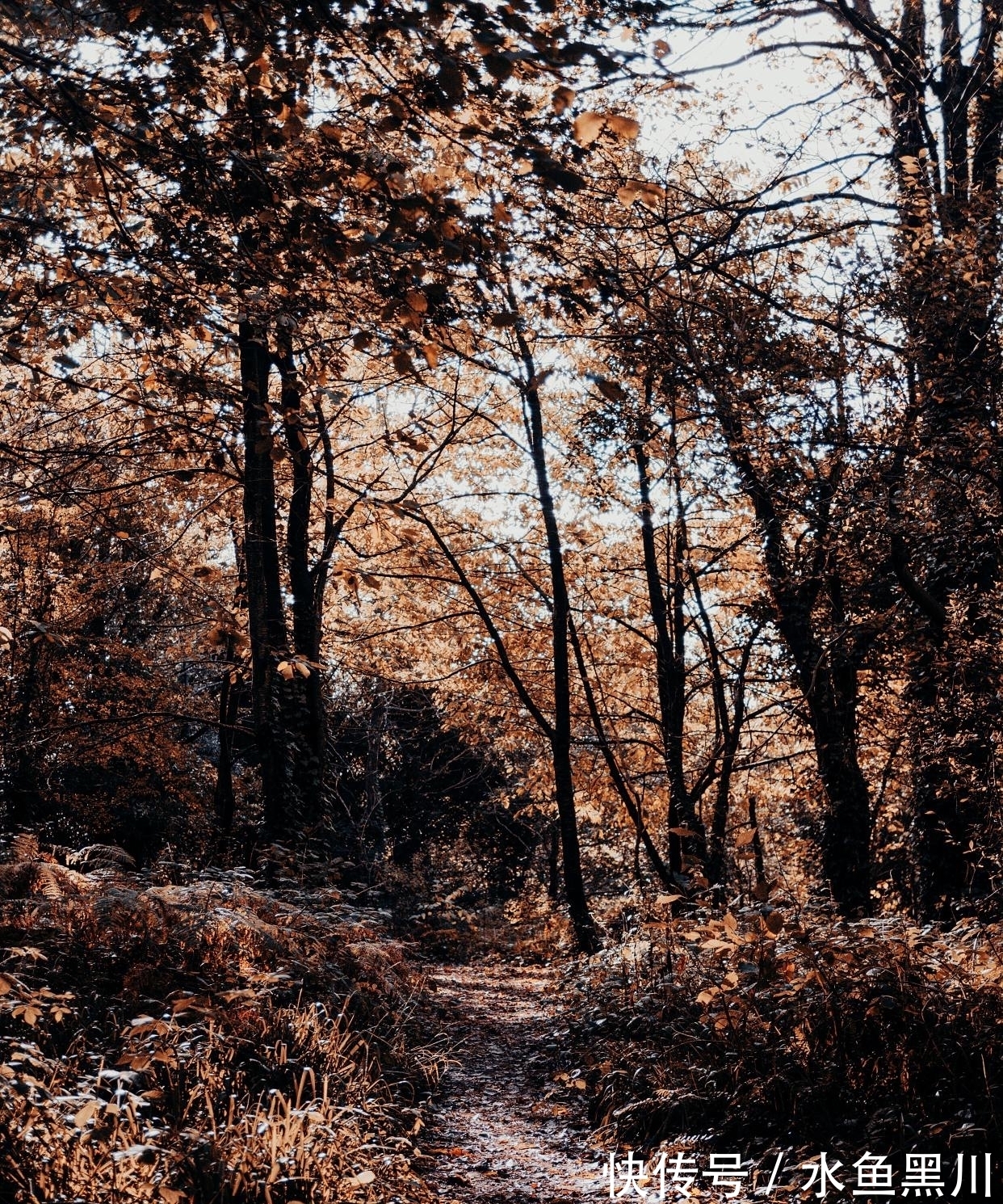 马谡#10句流传很广的民俗谚语，句句大白话，却讲出基本的为人处世道理