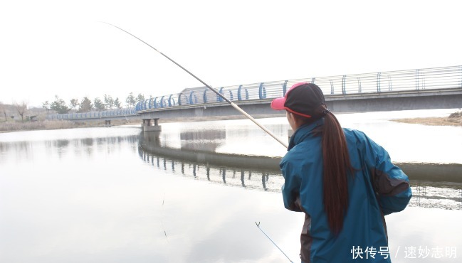 春钓浅滩?非也?老司机倾囊相授:这几个地方或许更藏鱼,莫不信