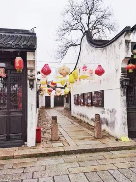 上海大学|在这个江南古镇，艺术正“破”墙走入生活