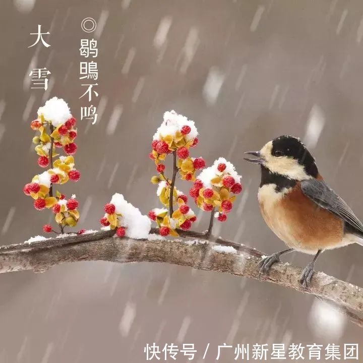  北方大雪纷飞，南方艳阳高照|新星百科 | 百科