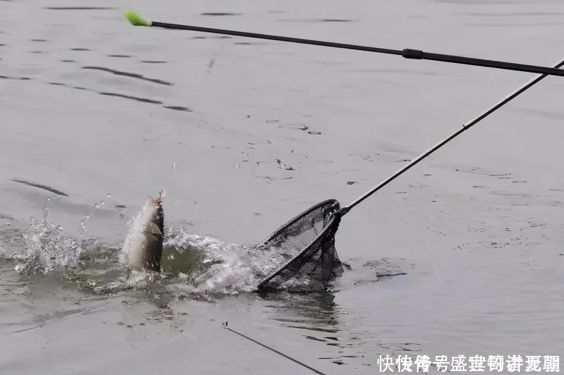 搭配|线组到底如何搭配才更合理，明确这几点你就知道了——盛世三渔