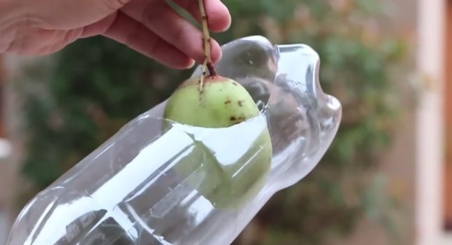 窗帘|她把塑料瓶放在窗帘上,解决了千万人的烦恼。。。