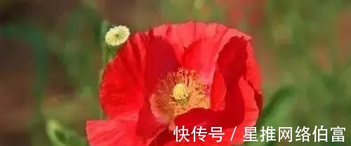 无恒$古今民间谚语大全，老祖宗太智慧了！值得收藏