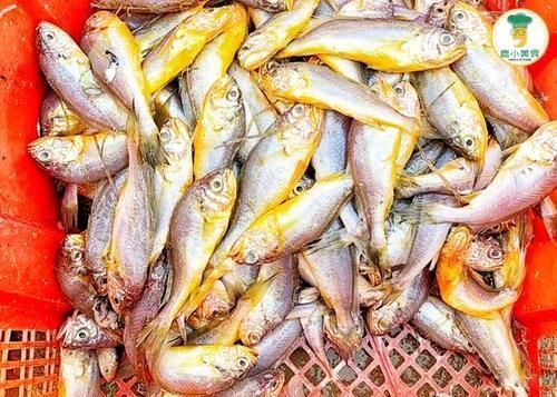 冬季天冷,多让家人吃“5种鱼”,肉嫩肥厚还营养,现在吃正当时