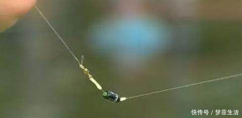 鱼讯|钓鱼大师讲解,浮钓,如何选漂、调漂