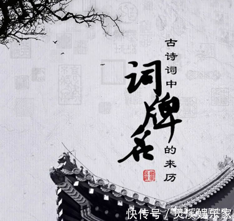 谢秋娘&念奴娇、如梦令、卜算子,雨霖铃,千奇百怪的词牌名是怎么来的