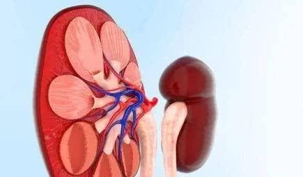 健康|排便时,大便经常“前头干硬,后边软粘”,可能是3种病找上门了