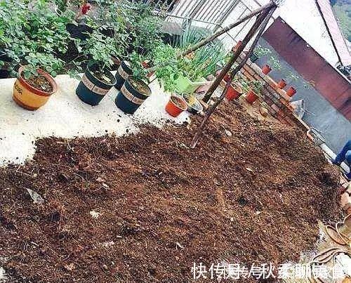 养花旧土别丢,掺入这“3样”,肥得流油不板结,养花太旺了