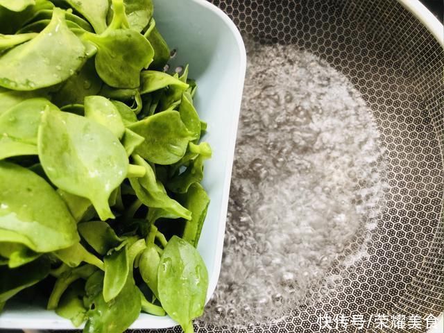 搅拌均匀|这菜浑身都是宝，口感爽滑，凉拌着吃真香，夏天可隔三差五吃一次