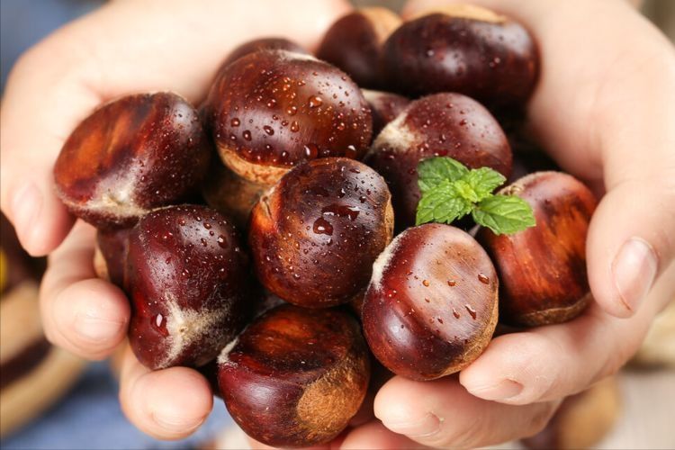 买栗子，挑个头大的还是小的？老农教你5招，皮薄肉多，个个清甜