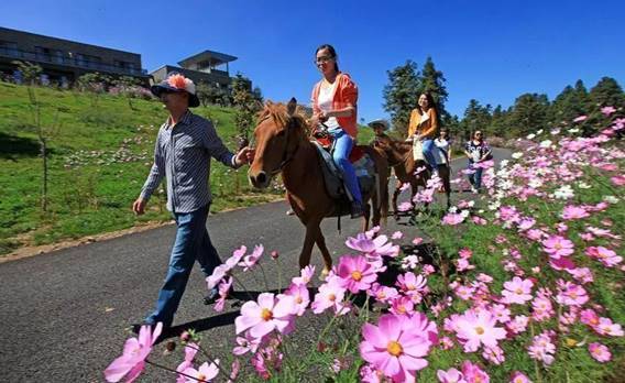 东莞|重庆仙女山春季旅游攻略