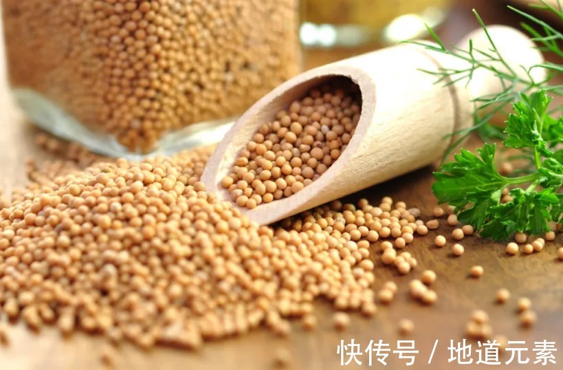 冠军|阿富汗人有多喜欢健身？背着火箭筒去健身房！难怪频出健美冠军