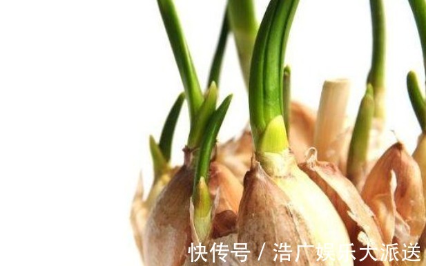 马铃薯|转告父母3种“食物”就算已经发芽,也可以放心的吃!