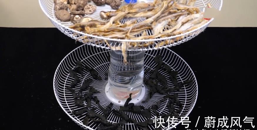 电风扇坏了不要扔,在中间加一个大塑料瓶,全家人看了都夸好