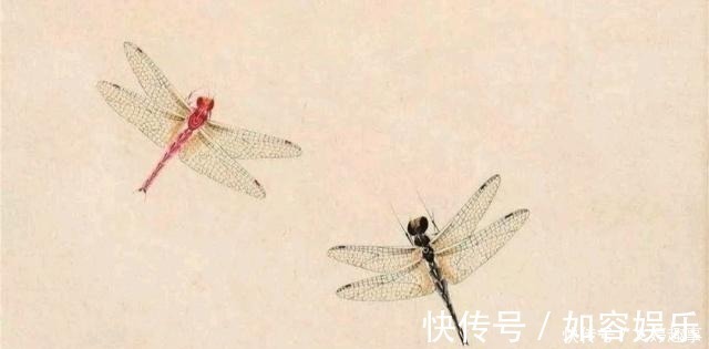 国画&冷军用4000万像素蜻蜓,比拼齐白石的蜻蜓,却输了细节