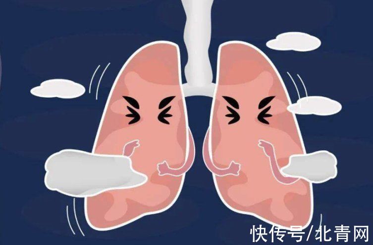 阴阳|贴秋膘儿就是吃肉？其实正好相反