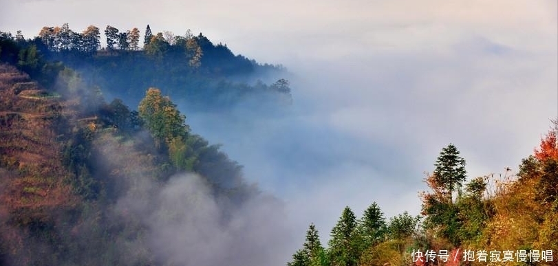 重庆“低调”4A景区，超越张家界，拥有世界“最大”“云端天梯”