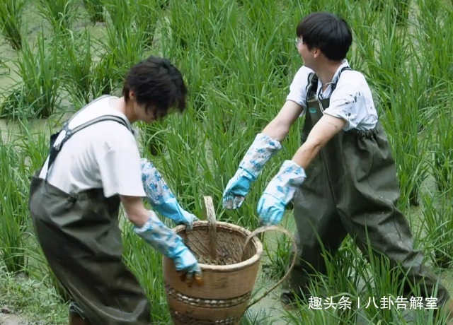 鹿晗178cm，彭昱畅178cm，两人同框后，真实身高差距太明显