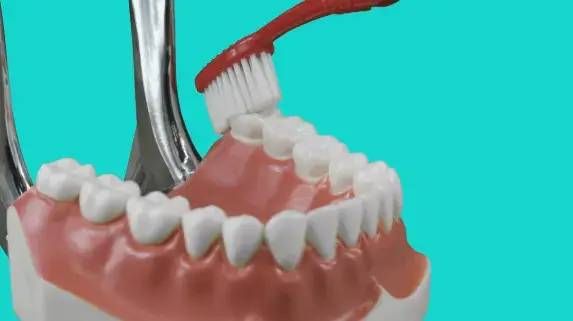 刷牙|5岁男孩突发急性肾炎，病根竟然是在口腔里