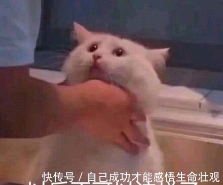 孕期|长点心吧!你以为孕期洗头是小事?孕妇洗头万不可掉以轻心的五点