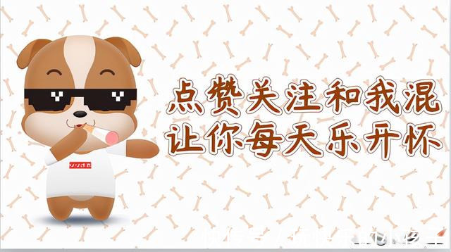 |搞笑神评:你想对你的前任说一句最扎心的话是什么?