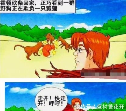 搞笑漫画 为报答霍顿, 狐狸精为其做汤！