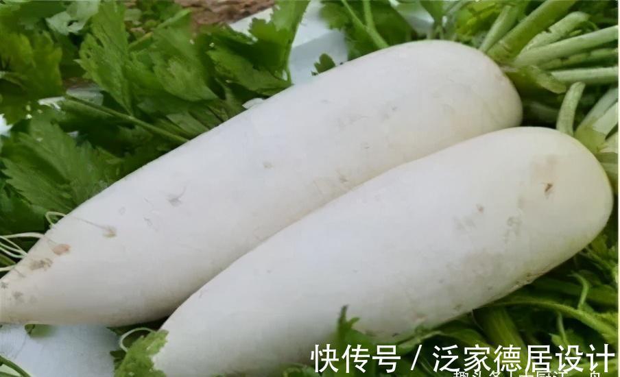 才知道,“白萝卜”和“青萝卜”区别这么大,看完可别再买错了