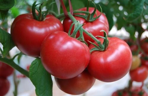 早餐|李兰娟：早上是养肝黄金期，这5种早餐换着吃，或对肝脏有帮助