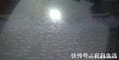 窗帘|家里窗户别挂窗帘了, 邻居家这样装, 看完想回家重装!