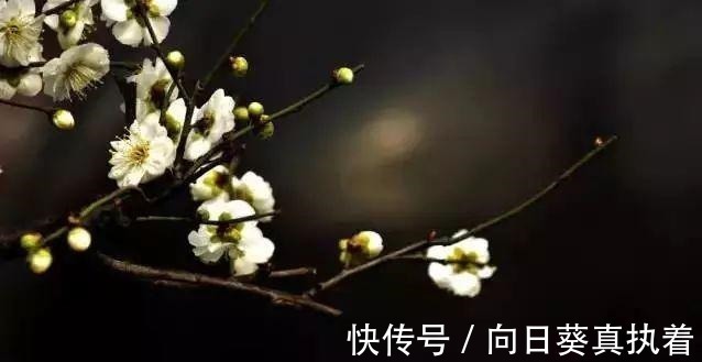 福报@比曾国藩《冰鉴》更大气, 千古奇书《心相篇》看透人性!