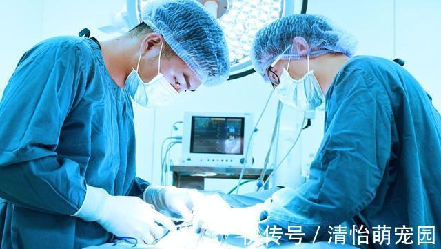 排卵日|小夫妻无法生育,领养的女孩越来越像妻子,基因检测后全家欢喜