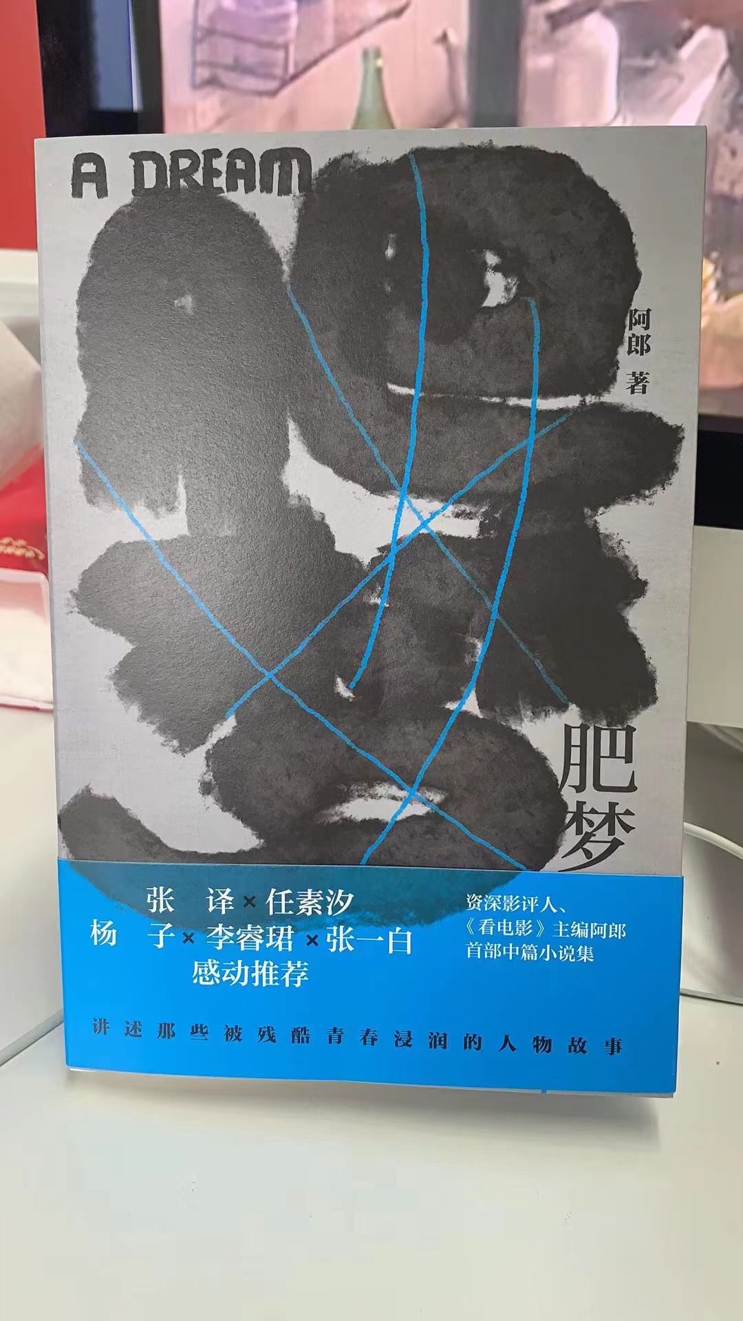 中篇！注视人，注视这个时代，《肥梦》中篇小说集出版