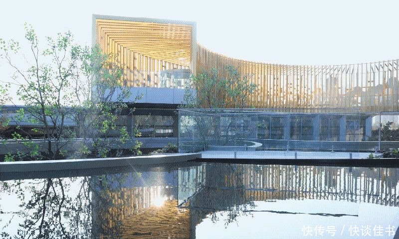 金山|解锁“亿万之夜”!走进时光浮廊,见证金山新城高光时刻!