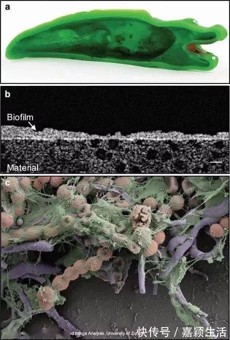 消毒|好可怕!宝宝天天吃的牙胶和奶嘴,竟然比抹布还脏!
