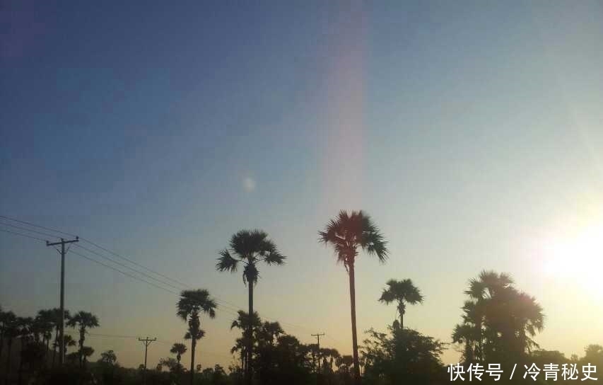 忙种|芒种——又叫“忙种”，是 二十四节气中的第九个节气