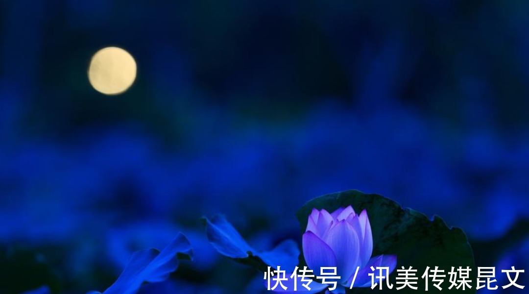 月色|荷花 明艳，十首有关荷花与月色的诗词，在月光里流溢荷香