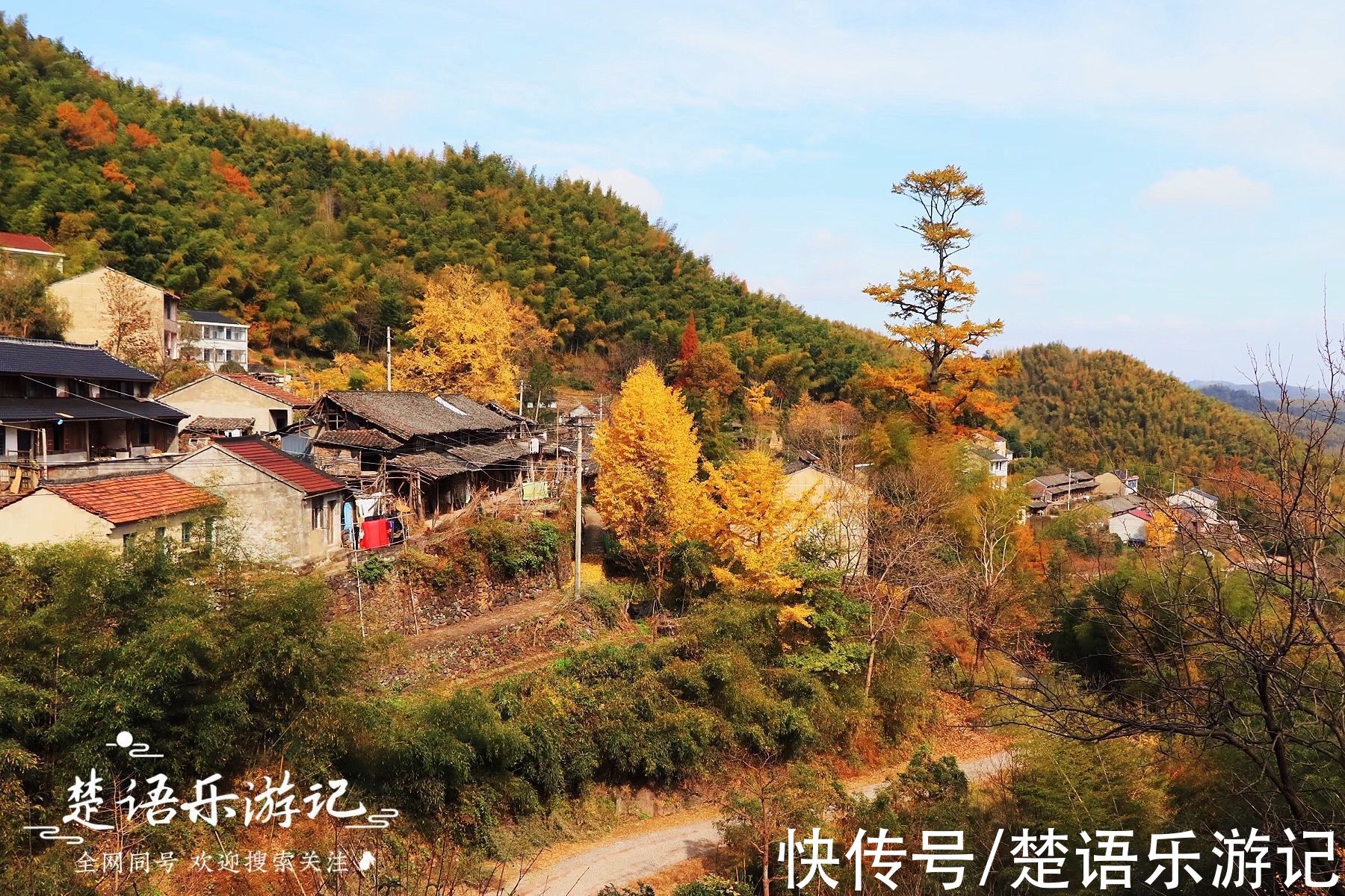 千年古村落|太震撼！四明山深处被人遗忘的千年古村落，满村银杏金黄美如童话