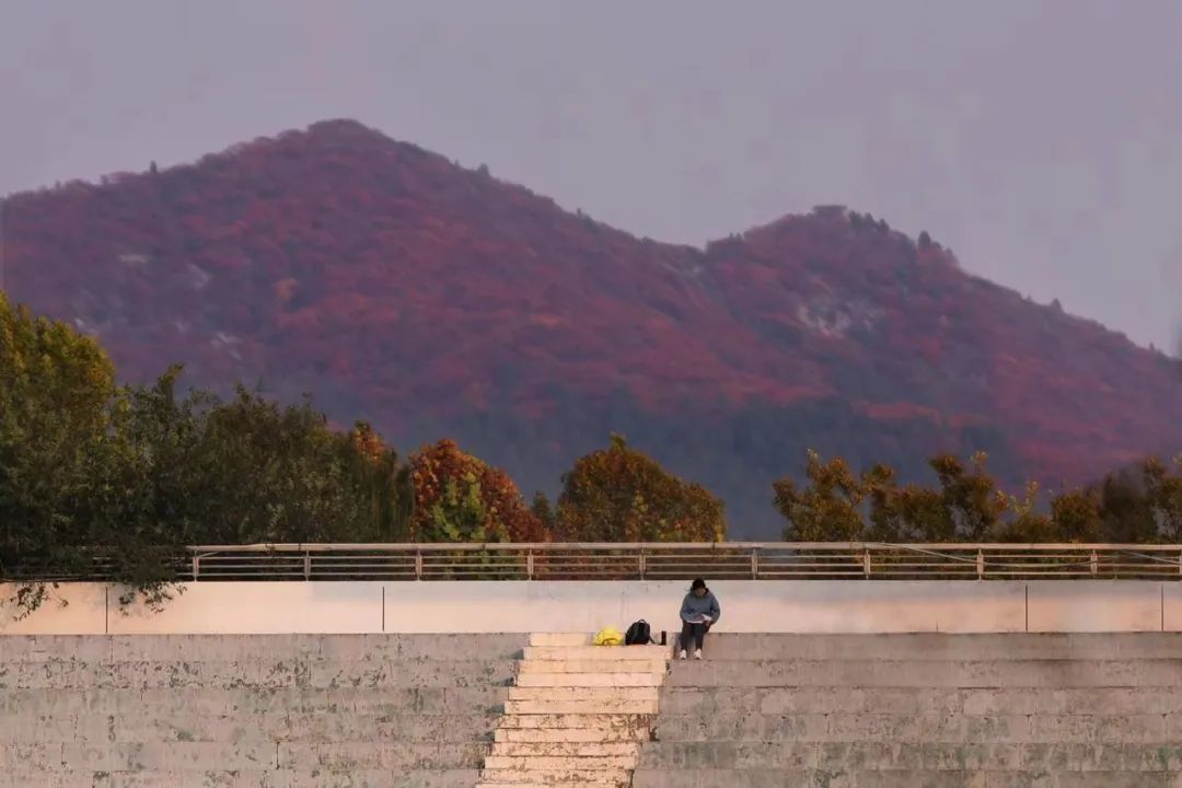 山青|山青晚秋季金风玉露时