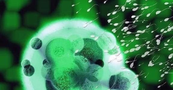 年龄|夫妻年龄差越接近这个数,生出的宝宝越聪明,你老公大你几岁