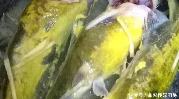 春天经常吃这个菜，10元一斤，孩子多吃头脑聪明，个子长得快！